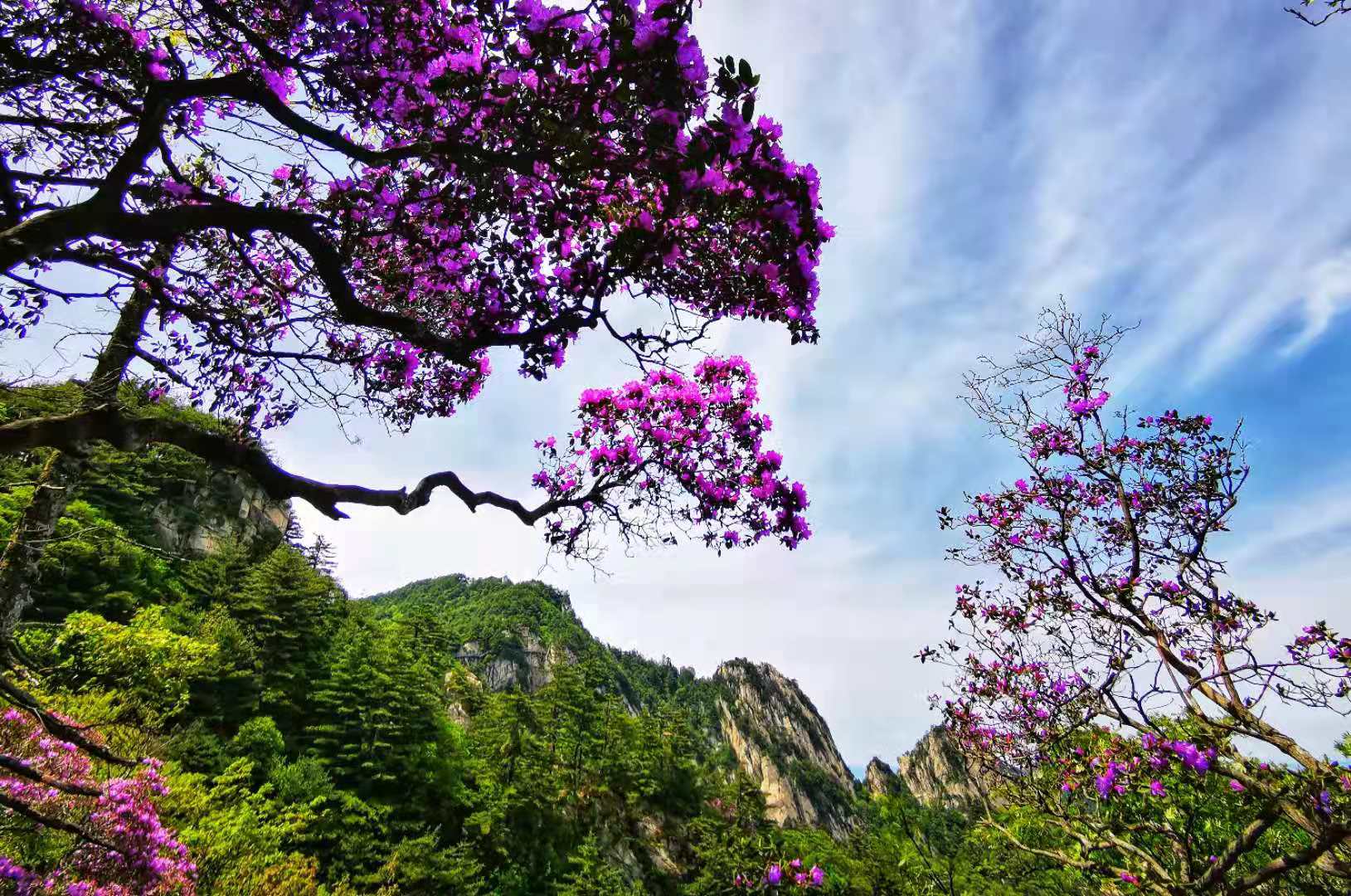 郭治国-杜娟.jpg